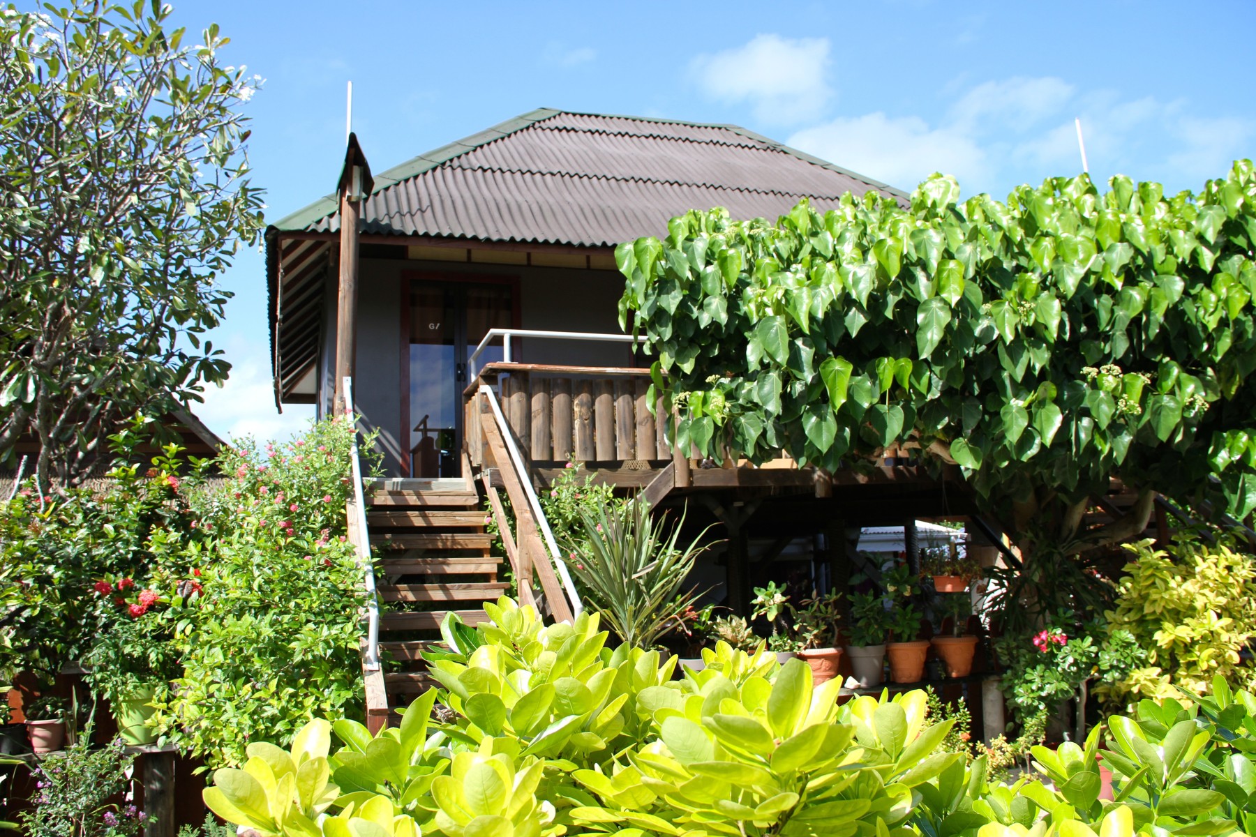 Pension Pearl Havaiki Lodge